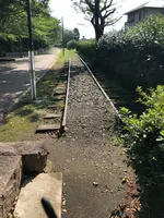 一之宮公園の写真・動画_image_471819