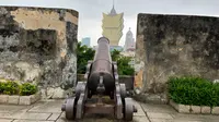 Monte Fortの写真・動画_image_471850