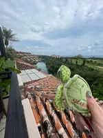 シギラベイサイドスイート アラマンダの写真・動画_image_472101