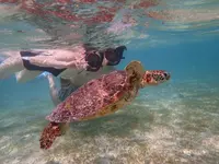 新城海岸の写真・動画_image_472108