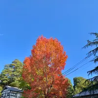 宮島水族館 みやじマリンの写真・動画_image_472144