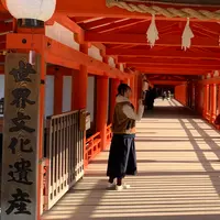 厳島神社の写真・動画_image_472146