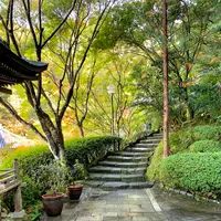 大聖院の写真・動画_image_472165