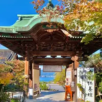 大聖院の写真・動画_image_472171
