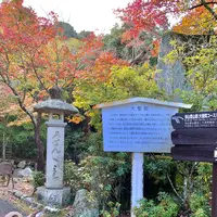 大聖院の写真・動画_image_472173