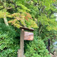 大聖院の写真・動画_image_472178