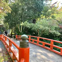 紅葉谷公園の写真・動画_image_472183