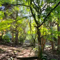 紅葉谷公園の写真・動画_image_472188
