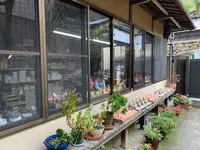 越智陶芸の写真・動画_image_472200