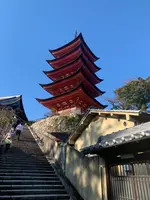 五重塔の写真・動画_image_472214