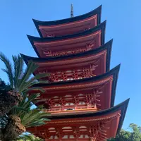 五重塔の写真・動画_image_472215