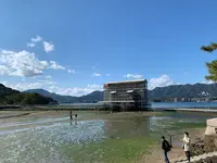 宮島（厳島）の写真・動画_image_472221