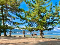 宮島（厳島）の写真・動画_image_472224