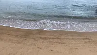 三原市すなみ海浜公園の写真・動画_image_472363