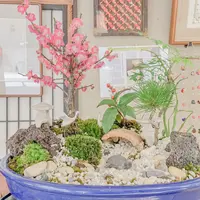 西岡菓子舗の写真・動画_image_472369