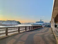 松山観光港の写真・動画_image_472449