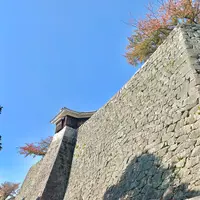 松山城の写真・動画_image_472488