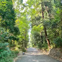 松山城の写真・動画_image_472490