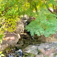 松山城二之丸史跡庭園の写真・動画_image_472541