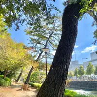 三之丸跡 堀之内公園の写真・動画_image_472546