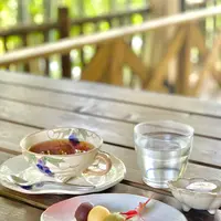 漱石珈琲店 愛松亭の写真・動画_image_472576