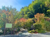 漱石珈琲店 愛松亭の写真・動画_image_472583