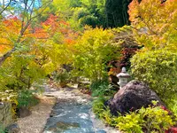 漱石珈琲店 愛松亭の写真・動画_image_472586