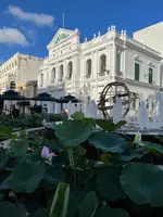 仁慈堂大楼の写真・動画_image_472773