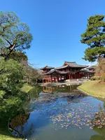 平等院鳳凰堂の写真・動画_image_472983