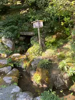 金閣寺（鹿苑寺）の写真・動画_image_473029
