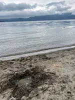 屈斜路湖砂湯の写真・動画_image_473122