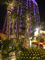 澳門葡京酒店の写真・動画_image_473311