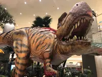Studio City Macauの写真・動画_image_473327