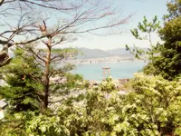 宮島（厳島）の写真・動画_image_473790