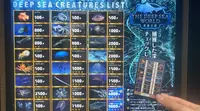 THE DEEP SEA WORLD 深海王国の写真・動画_image_473960