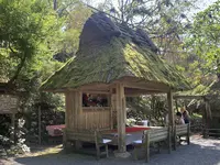 太郎川公園の写真・動画_image_474135