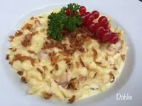 Bierfalkenの写真・動画_image_474311