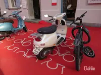 Roter Platzの写真・動画_image_474322