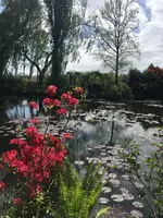 クロード・モネ財団（Claude Monet）の写真・動画_image_474413
