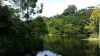 ビオスの丘の写真・動画_image_474469