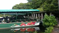 ビオスの丘の写真・動画_image_474471
