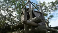 ビオスの丘の写真・動画_image_474472