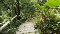 ビオスの丘の写真・動画_image_474474
