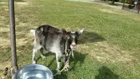 ビオスの丘の写真・動画_image_474476