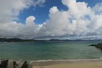 21世紀の森公園の写真・動画_image_474592