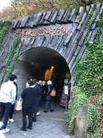 清津峡渓谷トンネルの写真・動画_image_474798