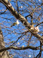 ポチョムキンの写真・動画_image_474818