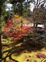 雲洞庵の写真・動画_image_474865