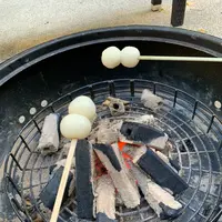 來宮神社の写真・動画_image_475337