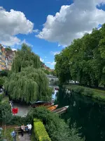 Hölderlinturmの写真・動画_image_475465